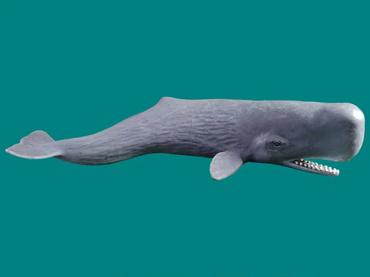 Billede 1 - Schleich 14764 Sperm Whale (2016)