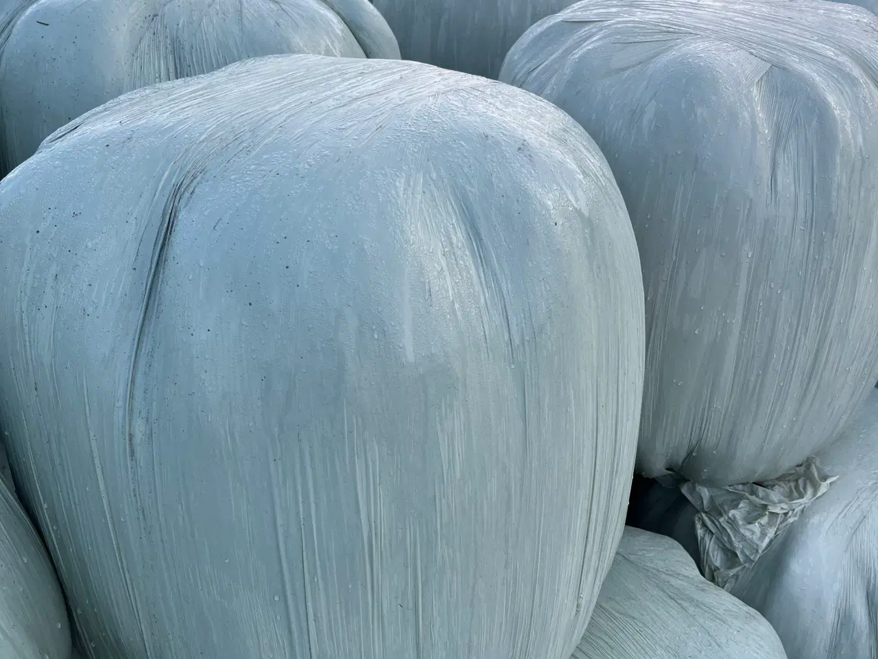 Billede 2 - Wrap i minirundballer