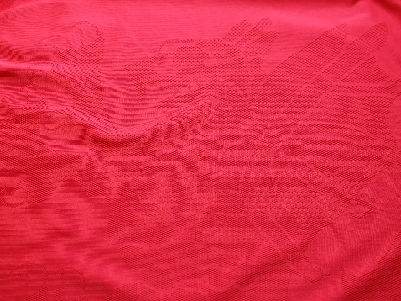 Billede 9 - Wales national team jersey (2008-2010)