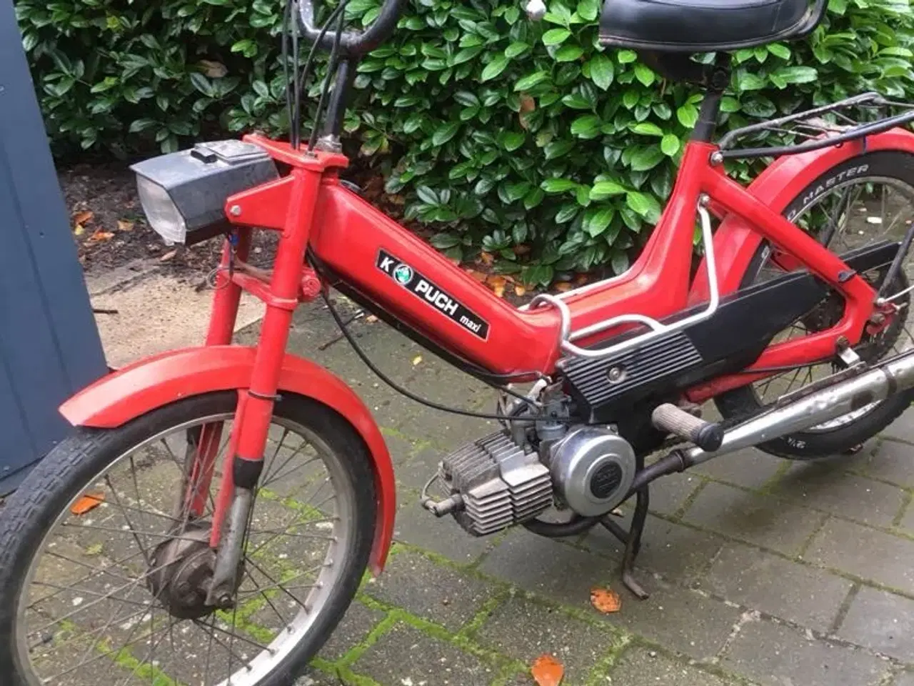 Billede 1 - Puch maxi 