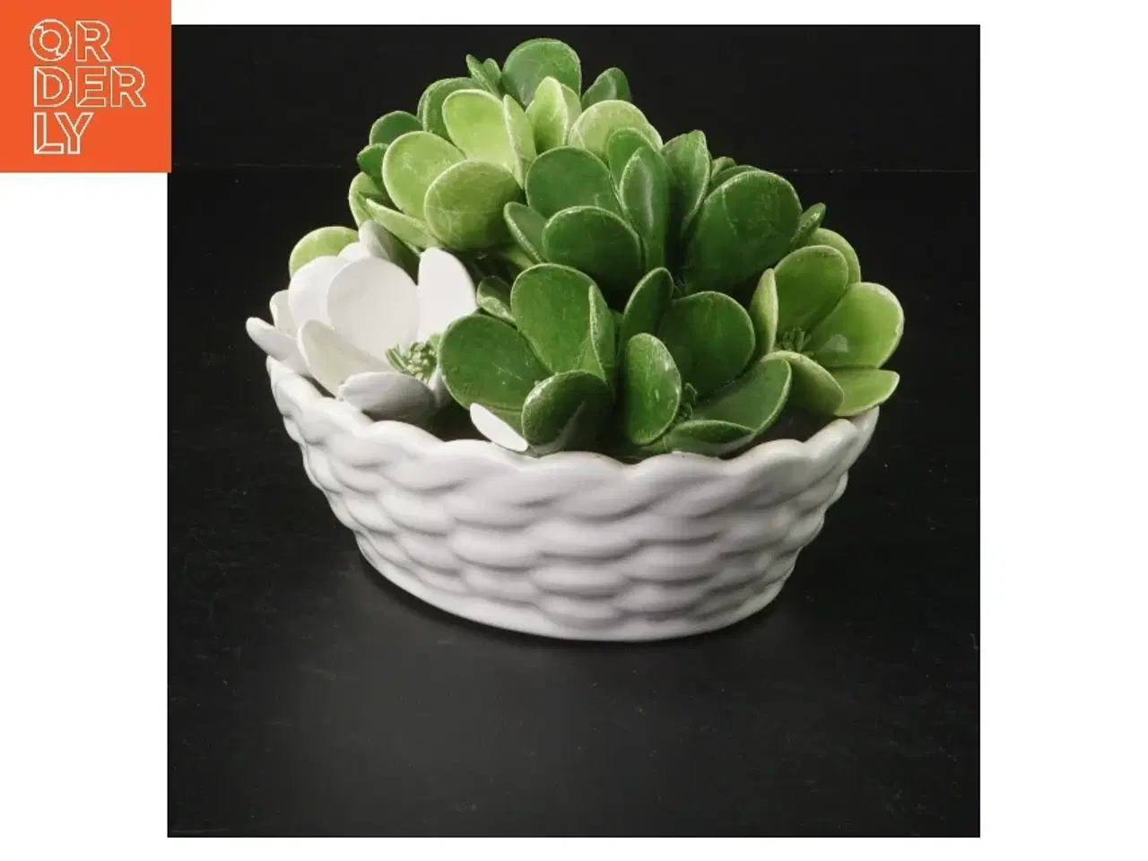 Billede 1 - Kunstig sukkulent i keramikpotte