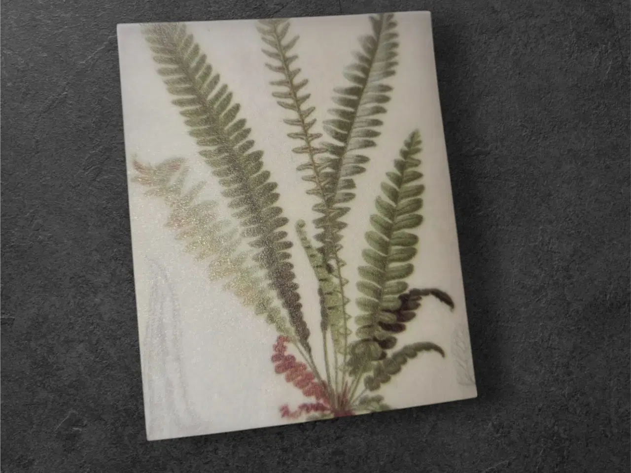 Billede 1 - Fern Fantasy – Detaljeret Bregneillustration på Pa