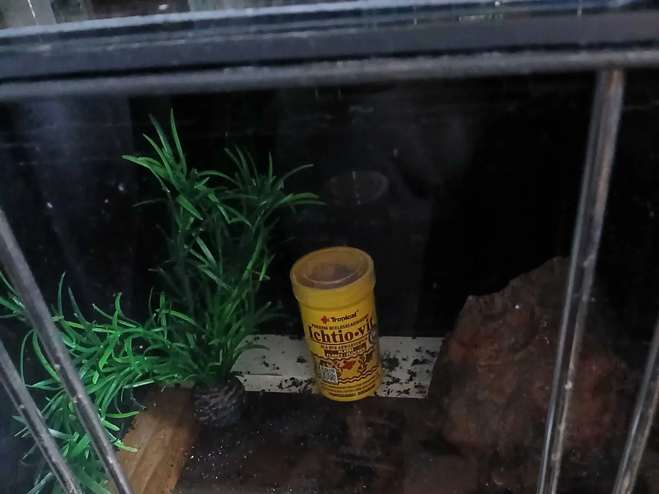 Billede 5 - Akvarium