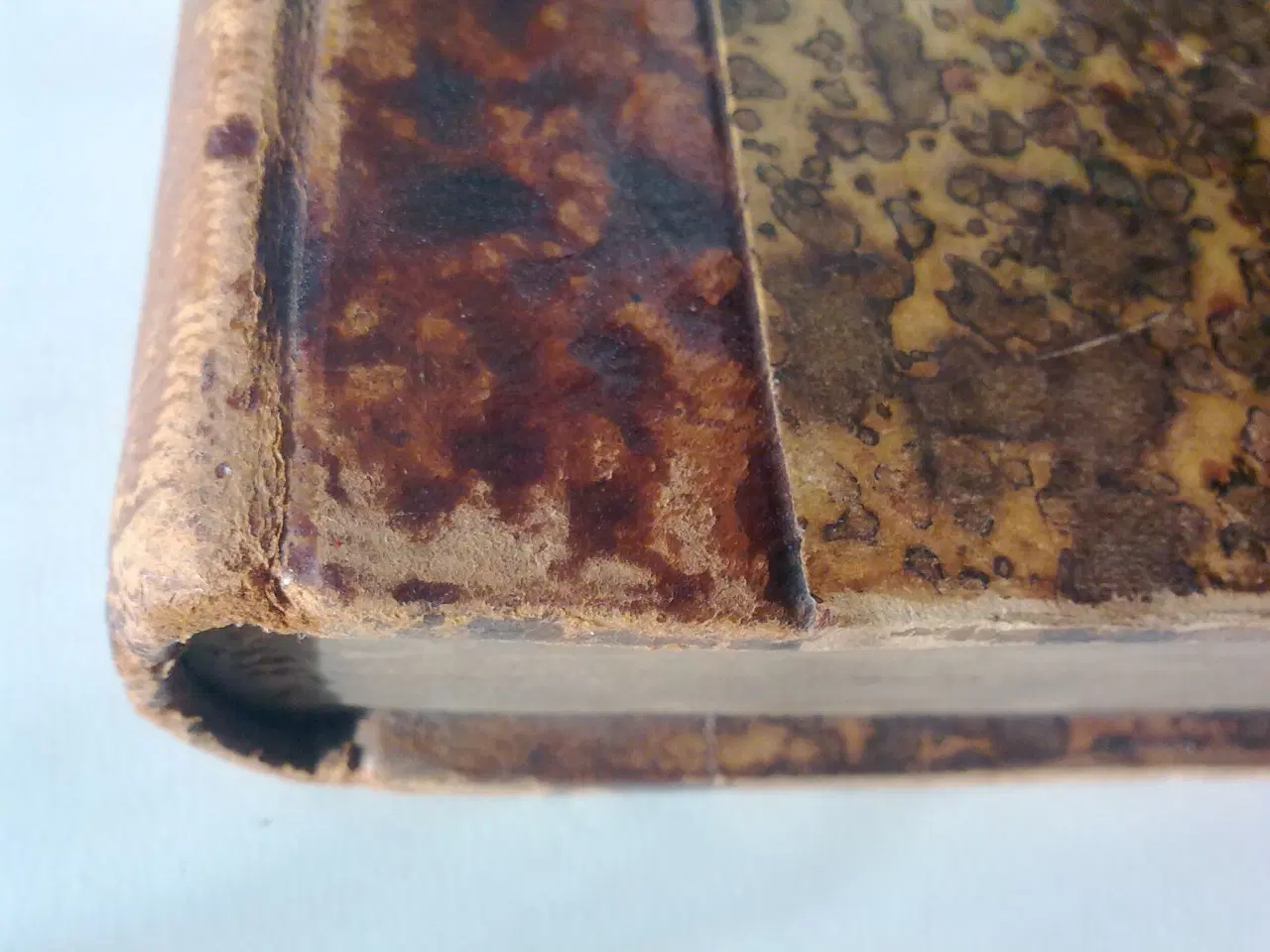 Billede 3 - Usynlig bog om Amerika fra 1897