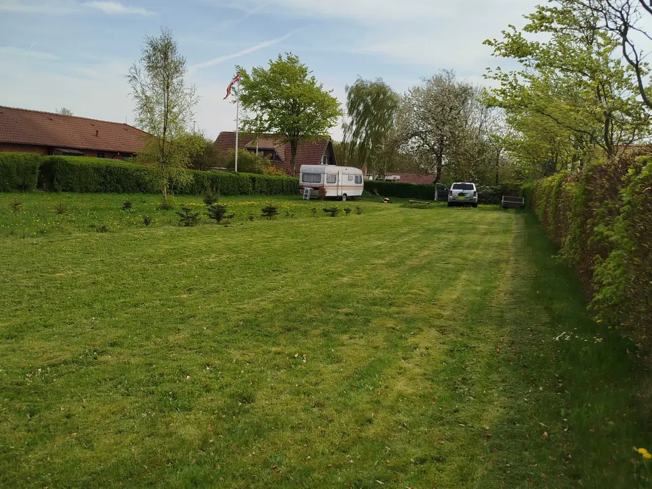 Billede 3 - Byggegrund til salg - 1350m grund halvårgrund