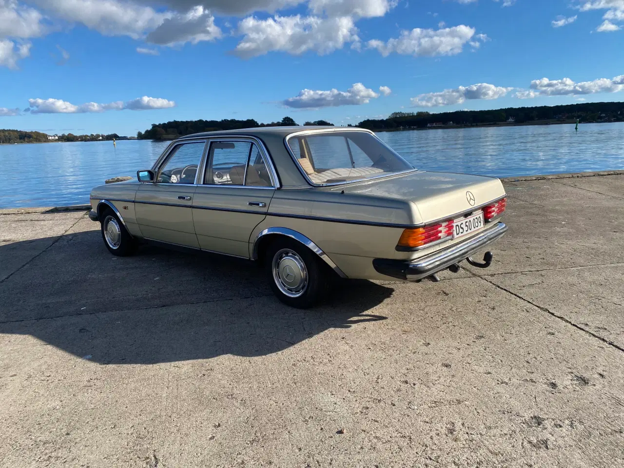 Billede 13 - Mercedes Benz W123 230E