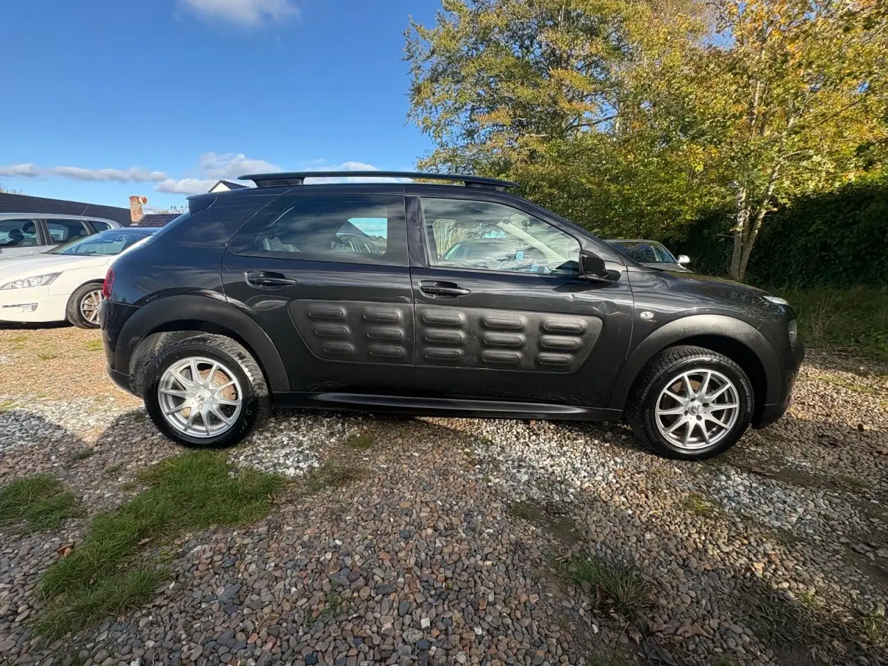 Billede 4 - Citroën C4 Cactus 1,6 e-HDi 92 Shine ETG6