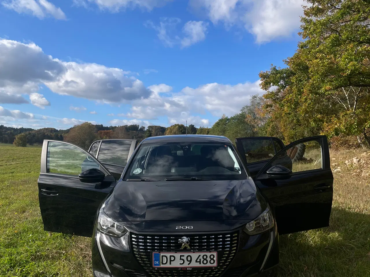 Billede 1 - Peugeot 208 - årstal: 2021