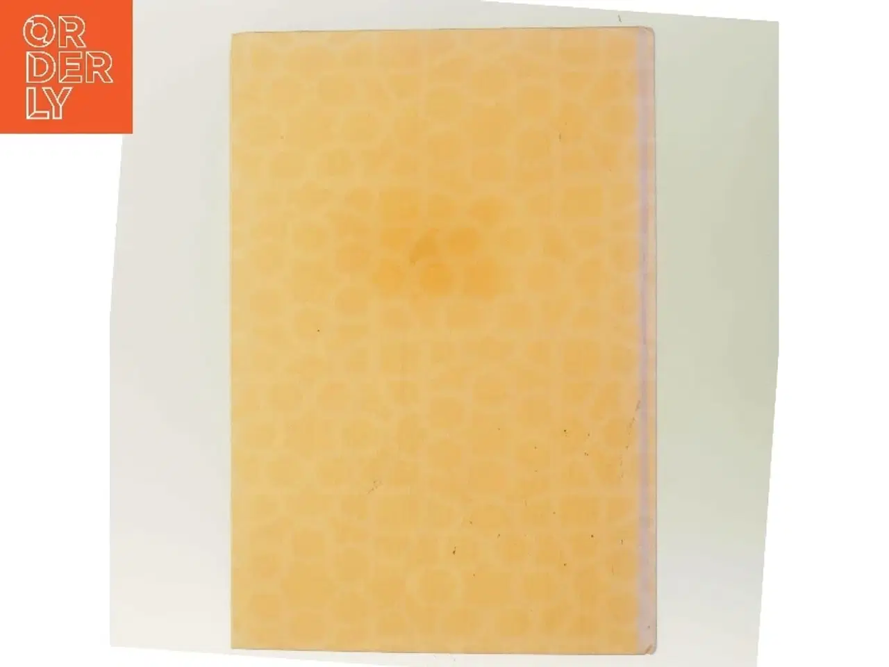 Billede 3 - De forklædte piger fra Kabul af Jenny Nordberg (Bog)