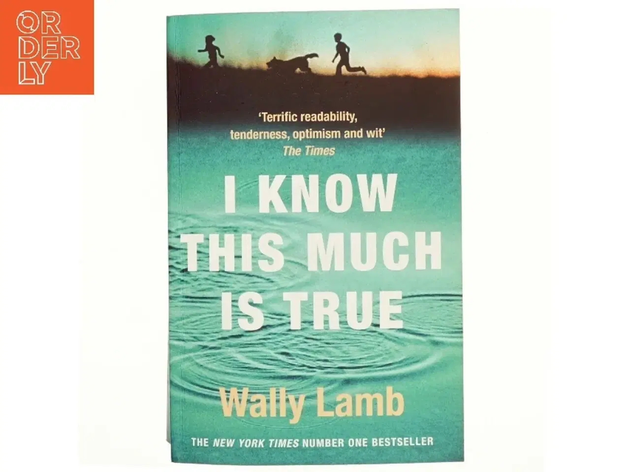 Billede 1 - I know this much is true af Wally Lamb (Bog)