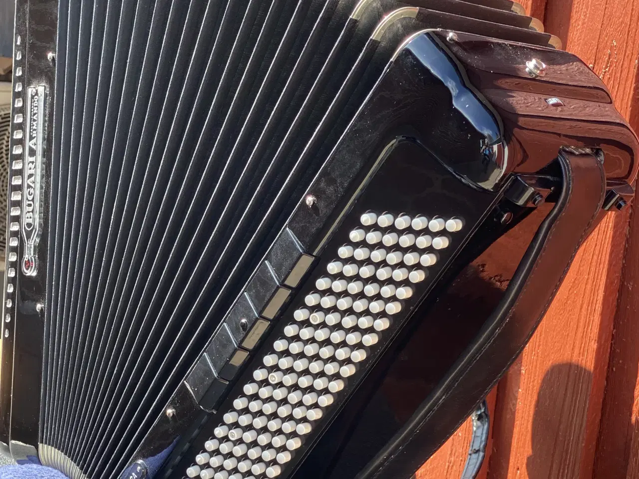 Billede 3 - Bugari Armando Seniorfisa Special – Topklasse 