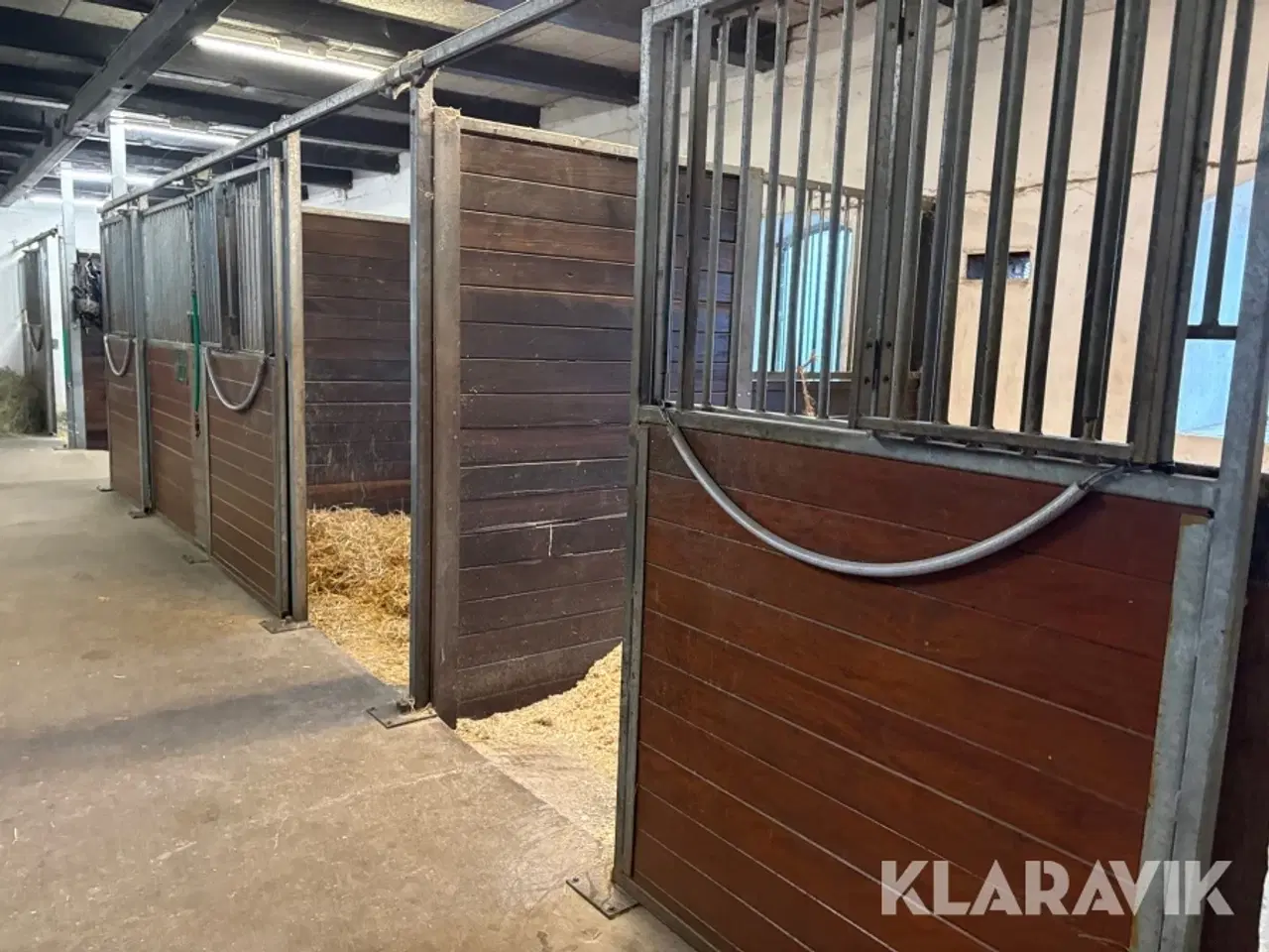 Billede 10 - Hestestalds inventar - 11 bokse i alt