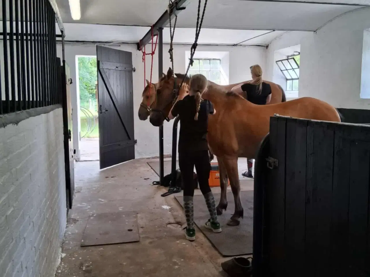 Billede 7 - børnepony /Næsten begynder pony / bytte