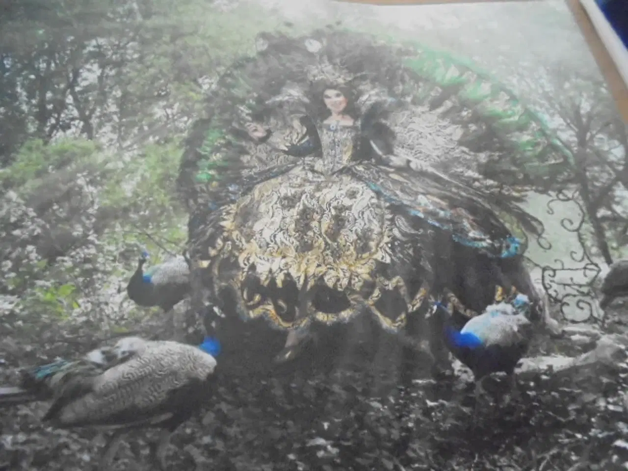 Billede 5 - Råberober – Anne Marie Helger