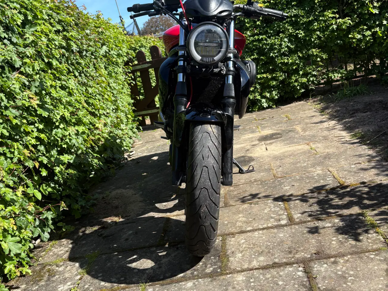 Billede 1 - Suzuki SFV 650 (SV650) – 2011