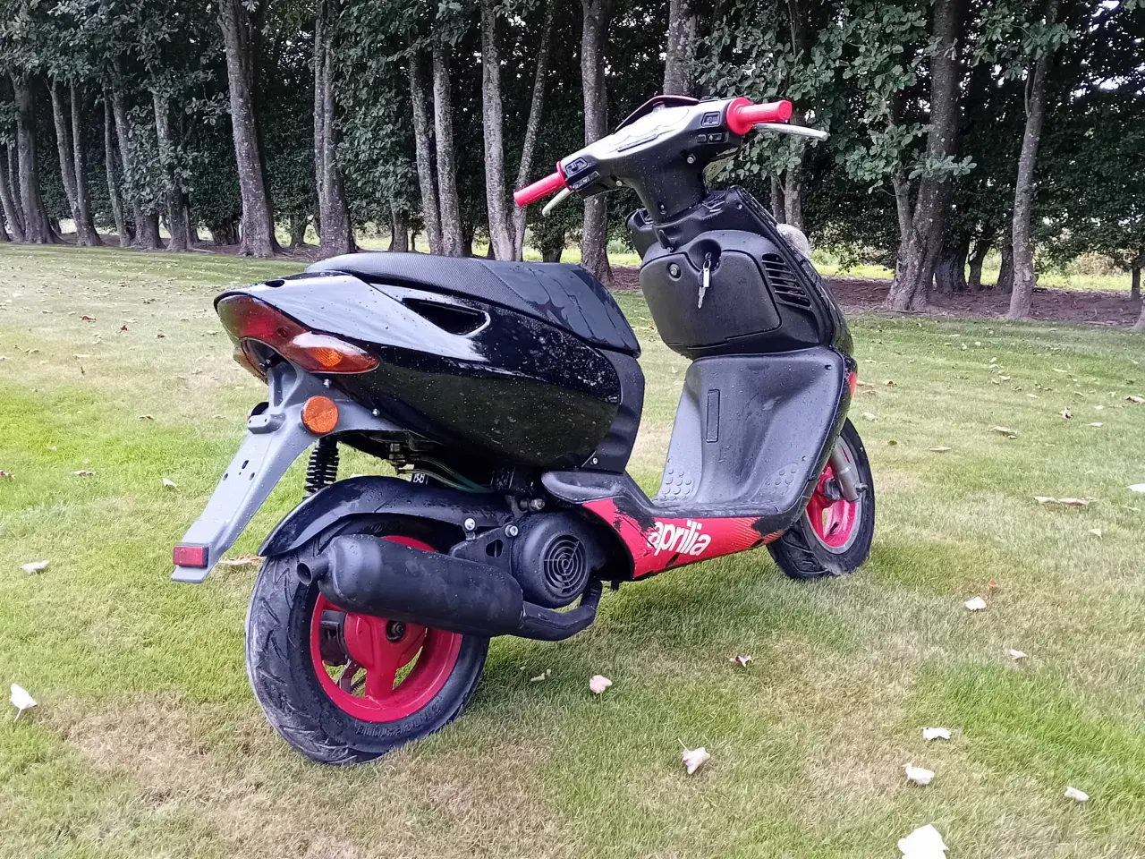 Billede 4 - Aprilia sonic