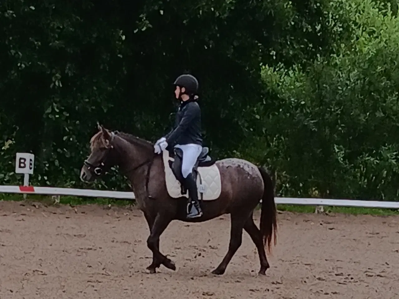 Billede 3 - Fin stor 3'er pony 