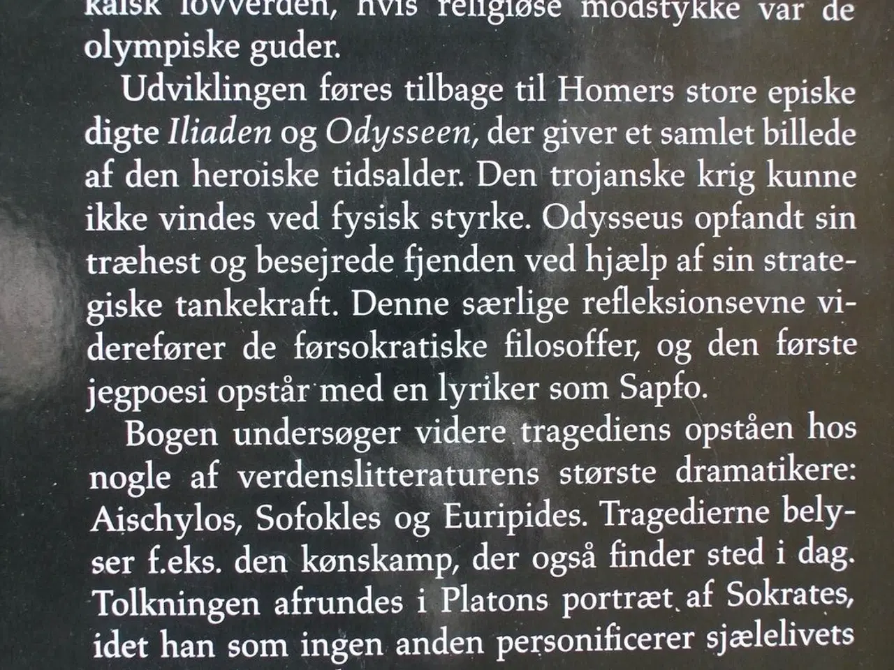 Billede 2 - træhesten - fra odysseus til sokrates - en bevidst
