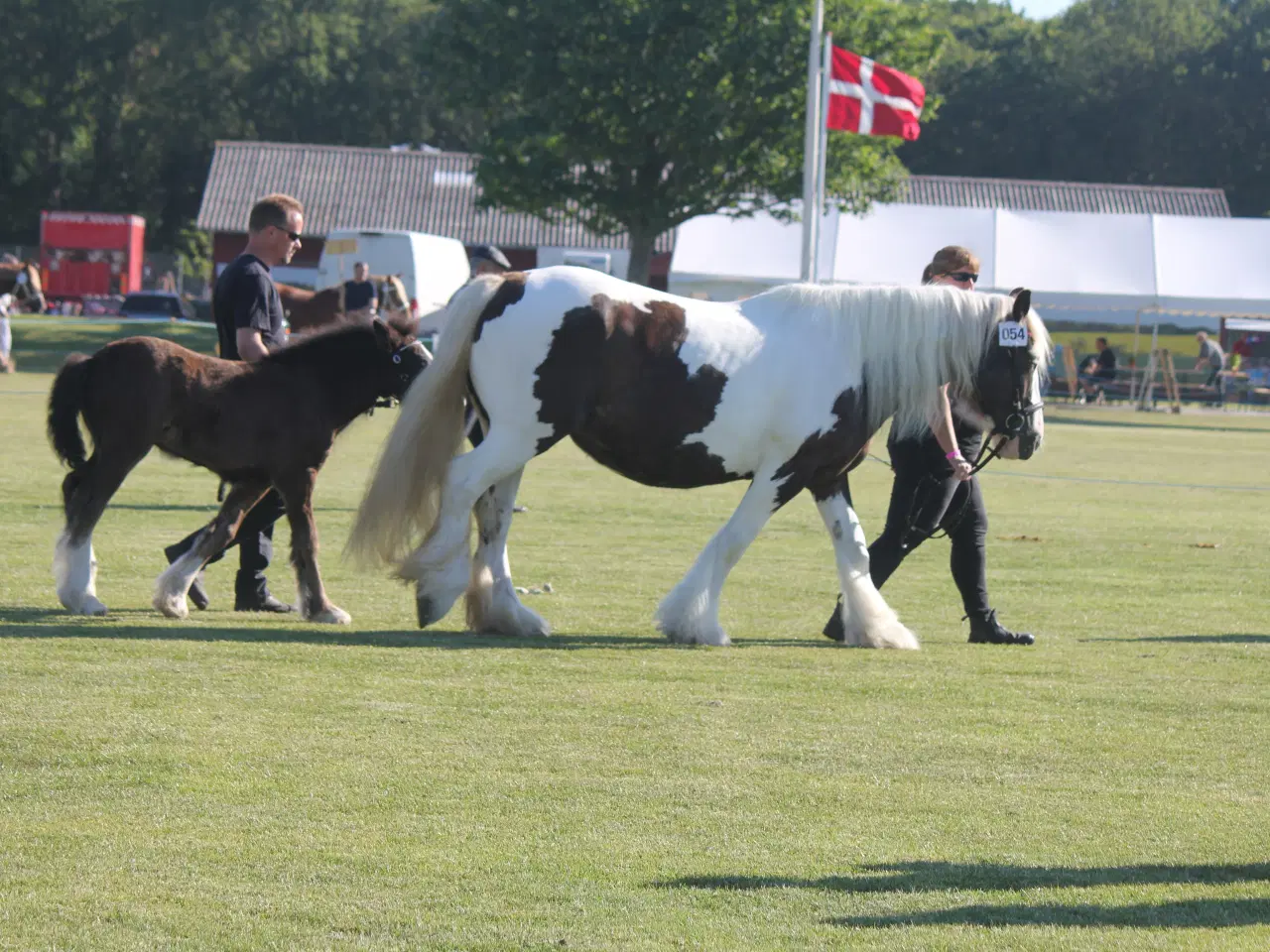 Billede 8 - Tinker hoppe 