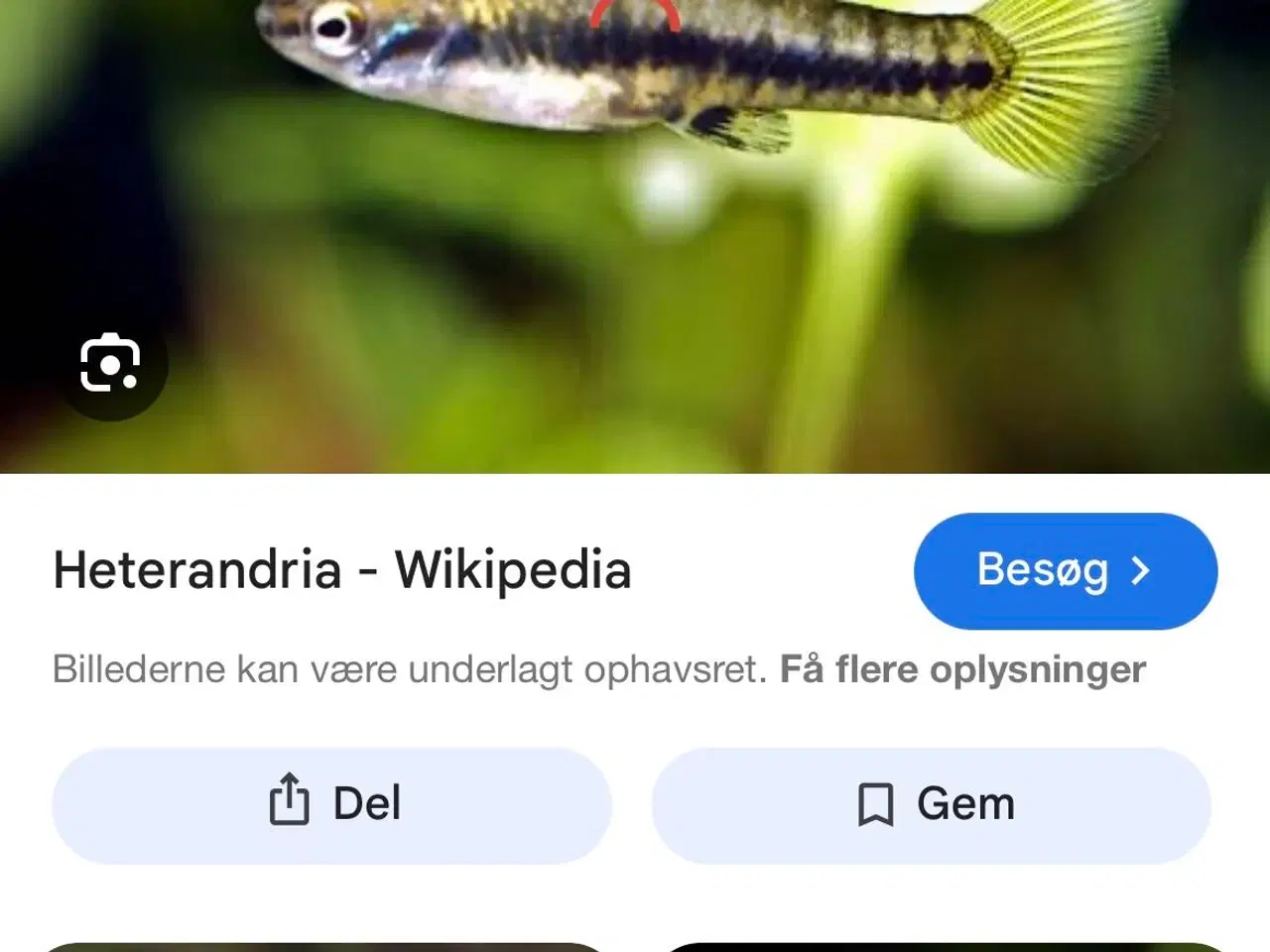 Billede 11 - Fire ens 45 liters akvarier på møbel hvis ønskes