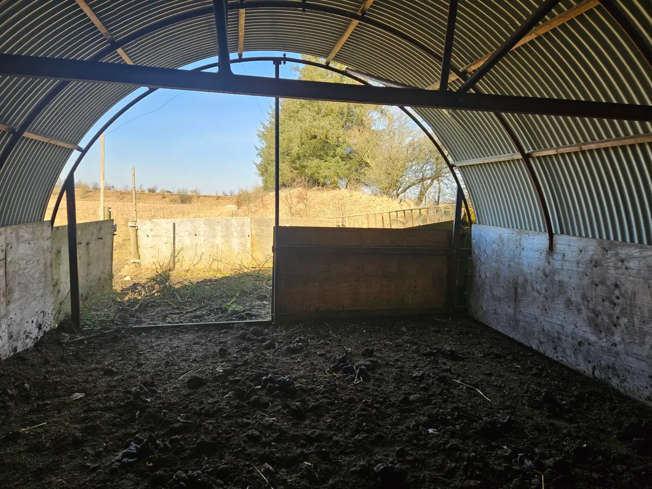 Billede 2 - Rundbuehal