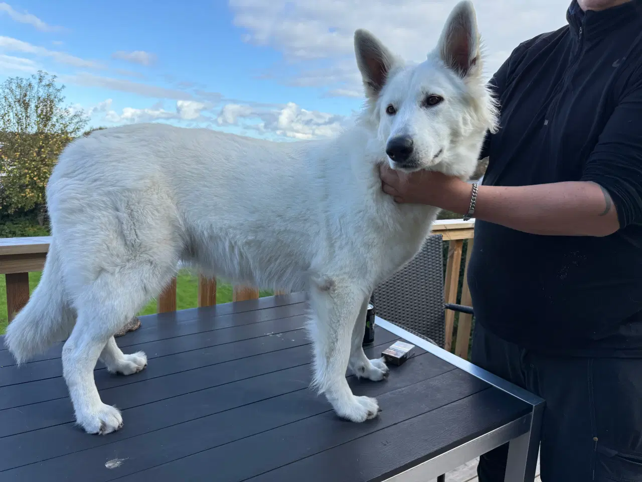 Billede 6 - Mangler du en blød julegave 