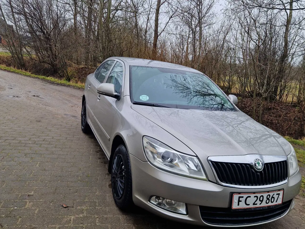 Billede 1 - Skoda Octavia 1,6TDI
