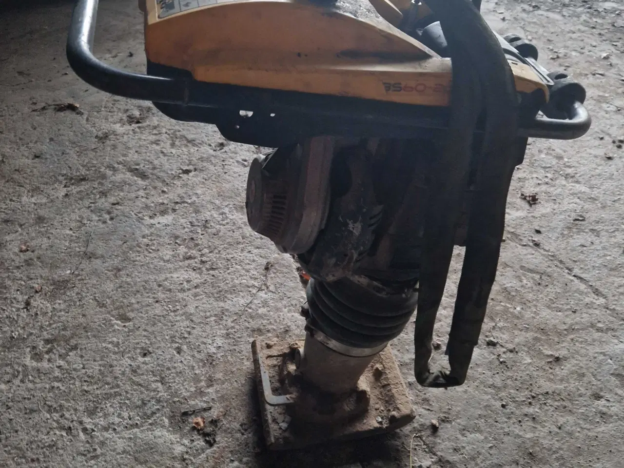 Billede 2 - Jordloppe 