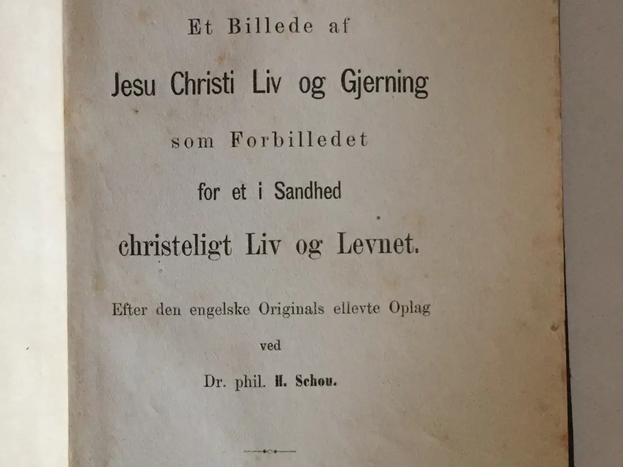 Billede 3 - Se, hvilket Menneske! Et Billede af Jesu Christi L