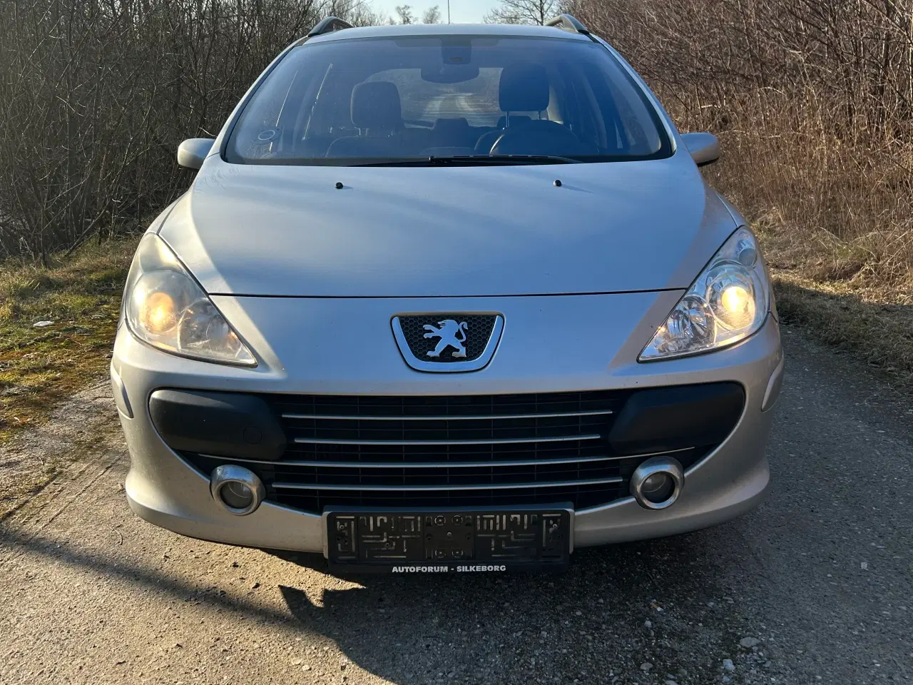 Billede 1 - Peugeot 307 1,6 HDI 