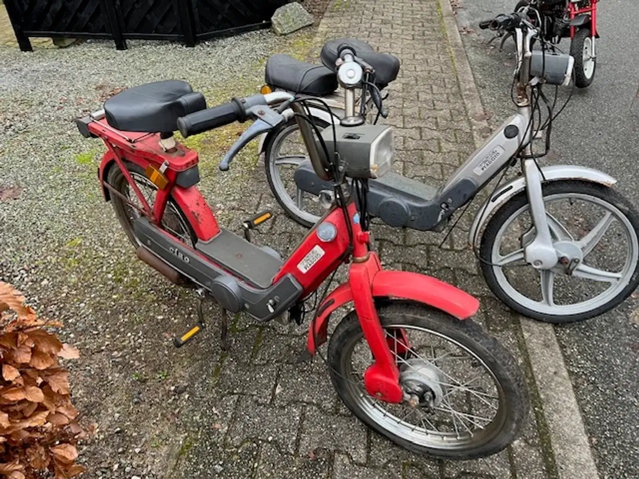 Billede 2 - Vespa Ciao knallerter