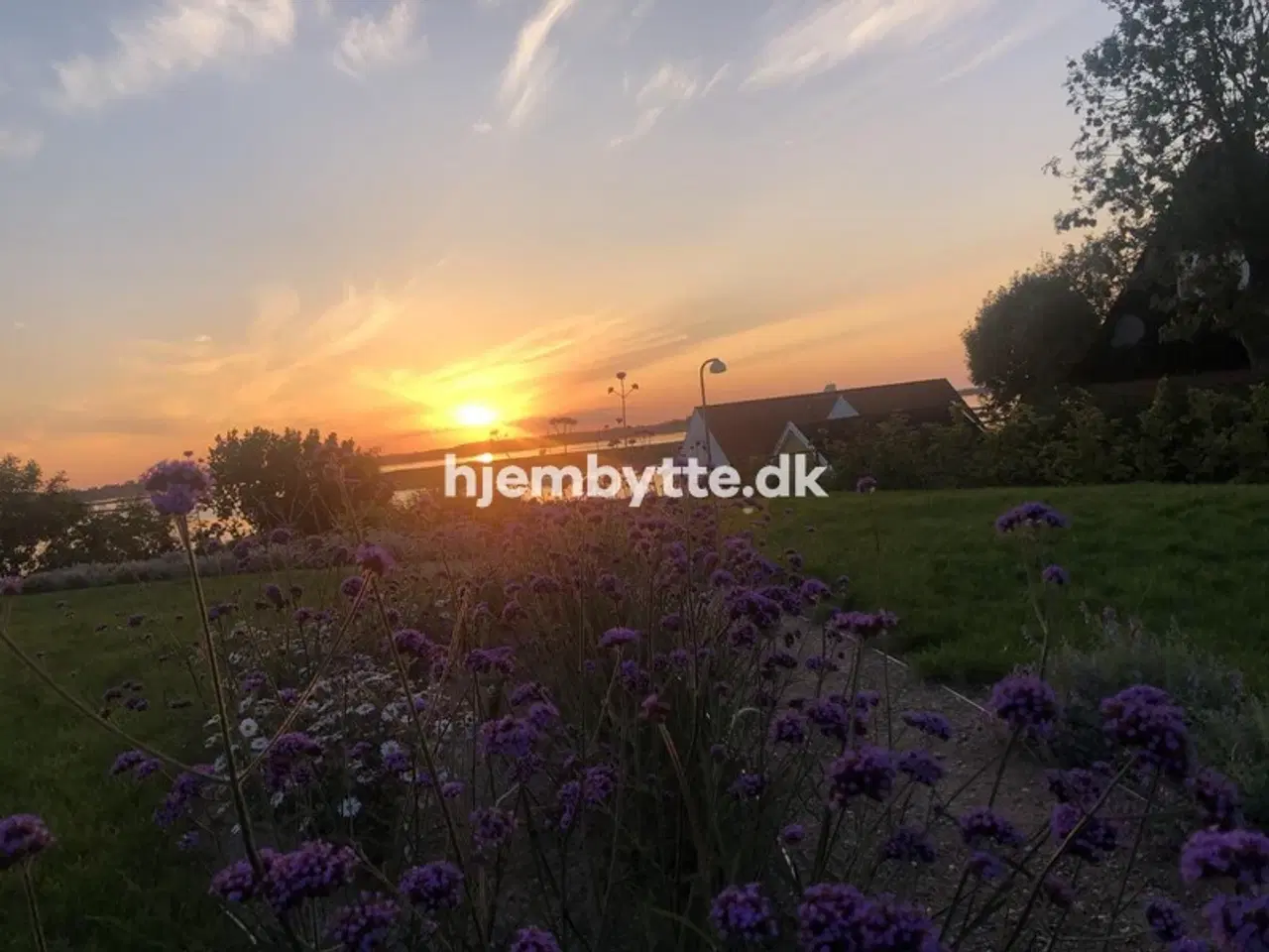 Billede 6 - Hjembytte - Baunehøjparken