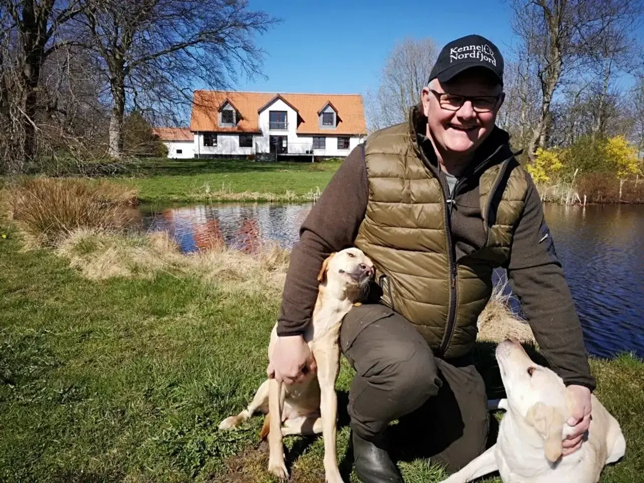 Billede 6 - Formel 1 labrador