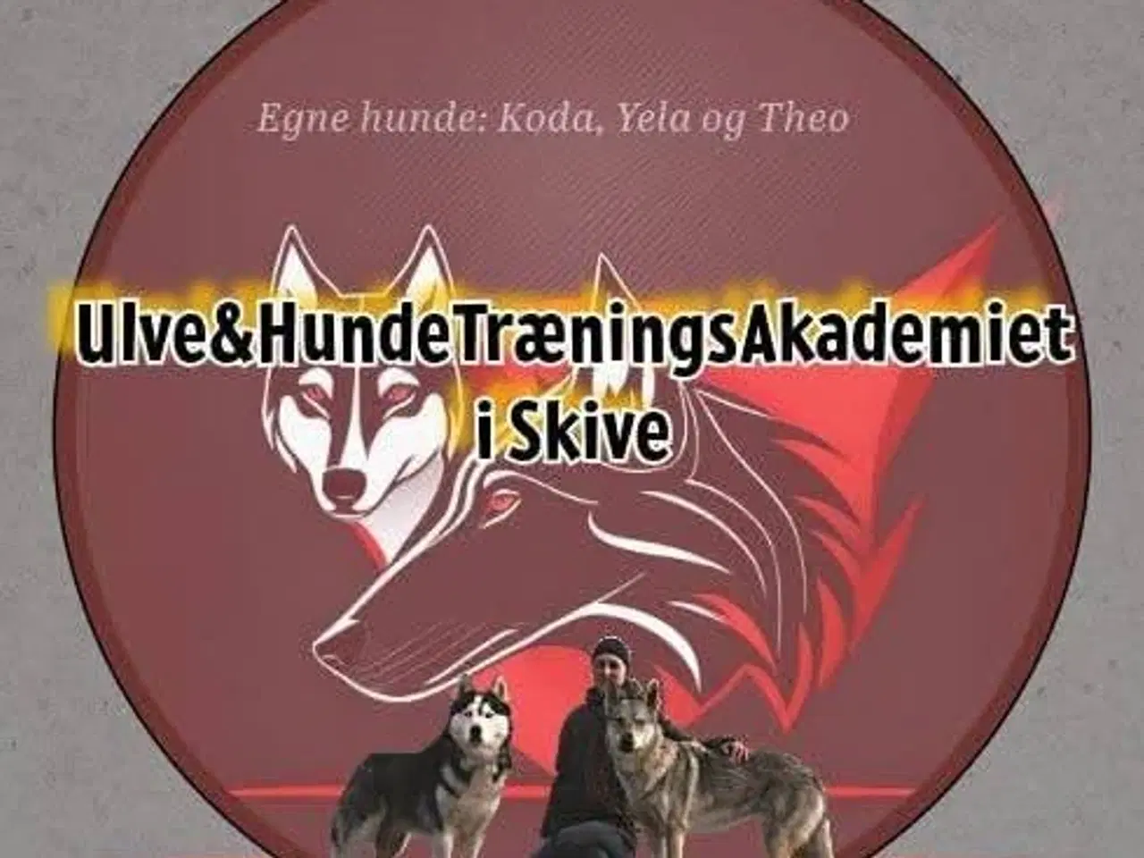 Billede 2 - Hundetræning i Skive