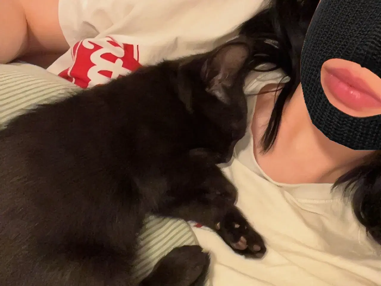 Billede 10 - Jeg skal sælge min kat da jeg ikk kan ha den mere
