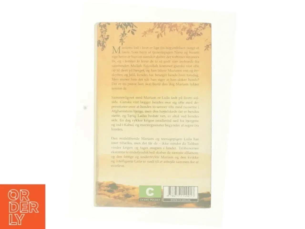 Billede 2 - Under en strålende sol af Khaled Hosseini (Bog)