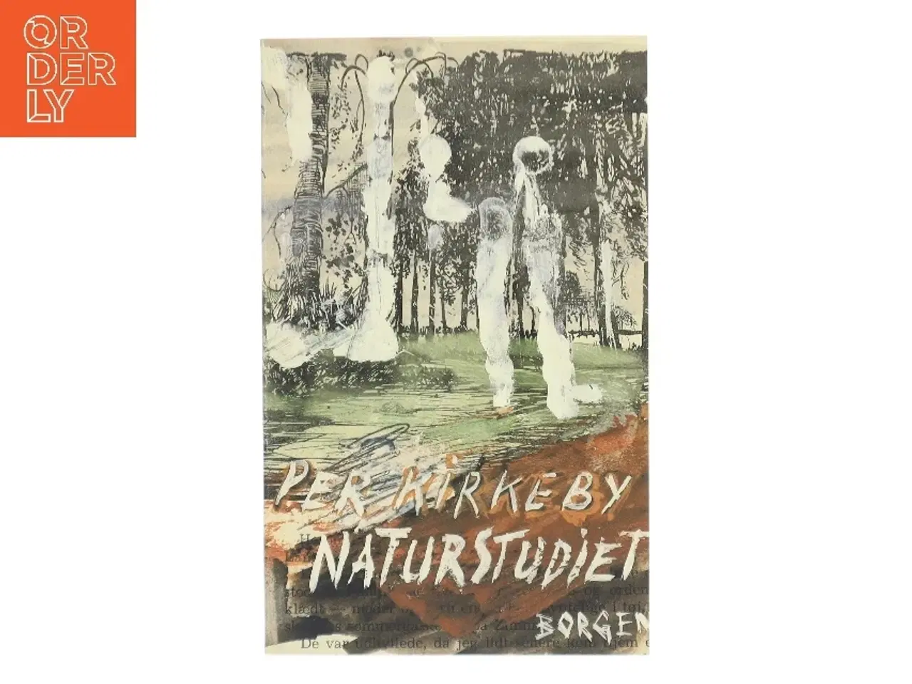 Billede 1 - Naturstudiet af Per Kirkeby (Bog)