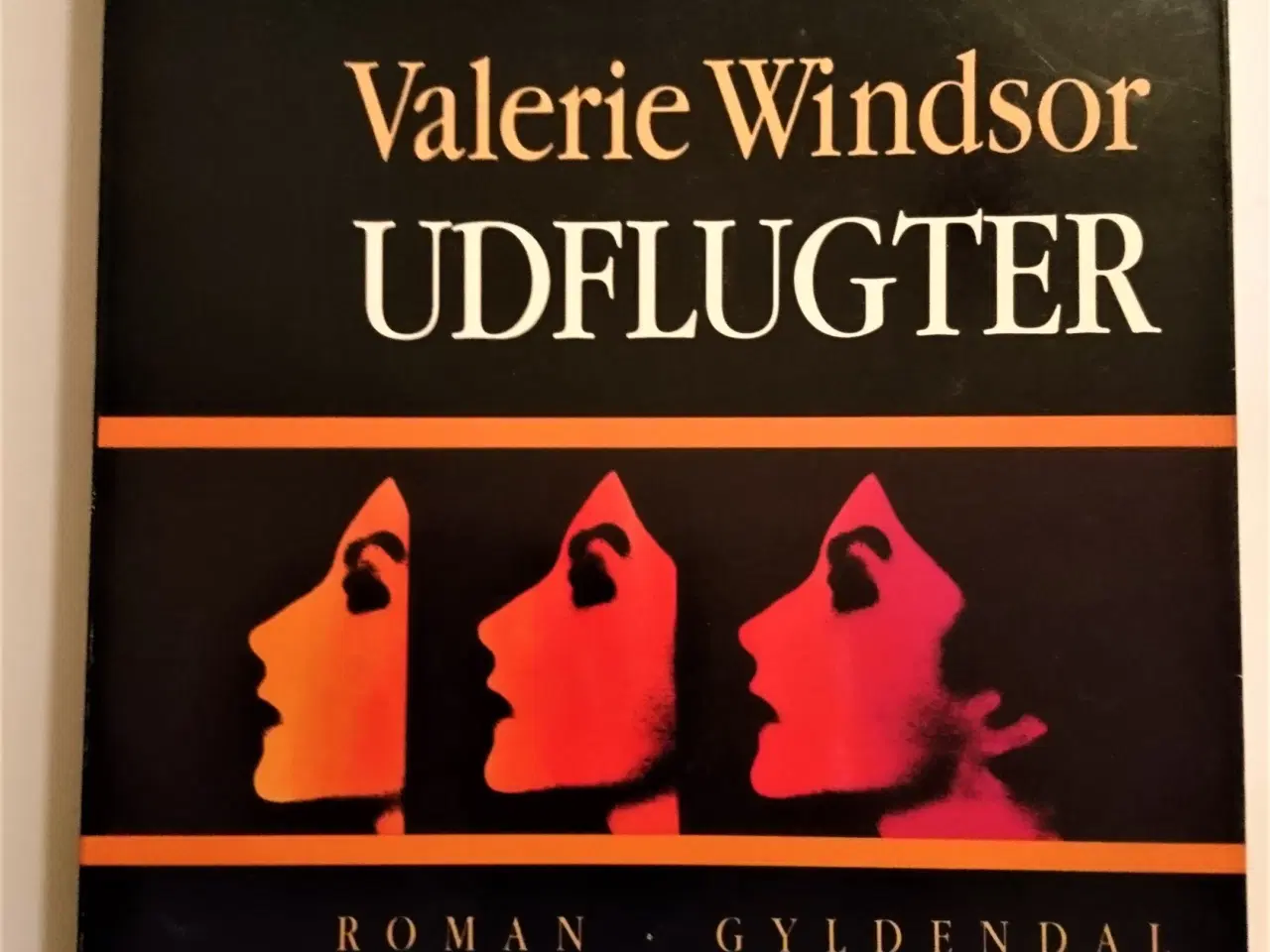 Billede 1 - Udflugter. Af Valerie Windsor