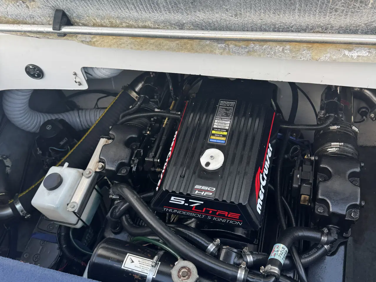 Billede 6 - Campion chase 630