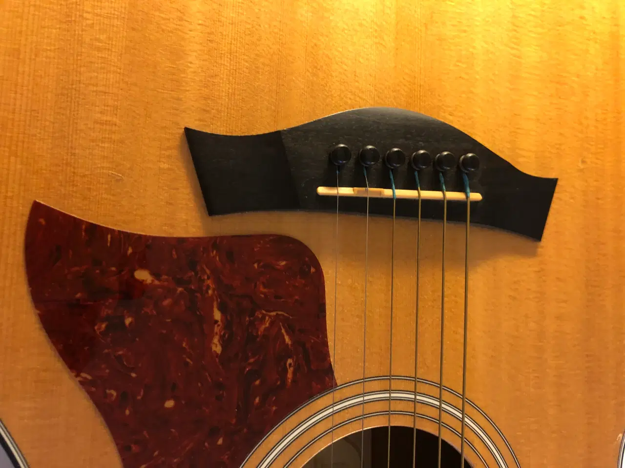 Billede 9 - Taylor 714ce, 2007 USA