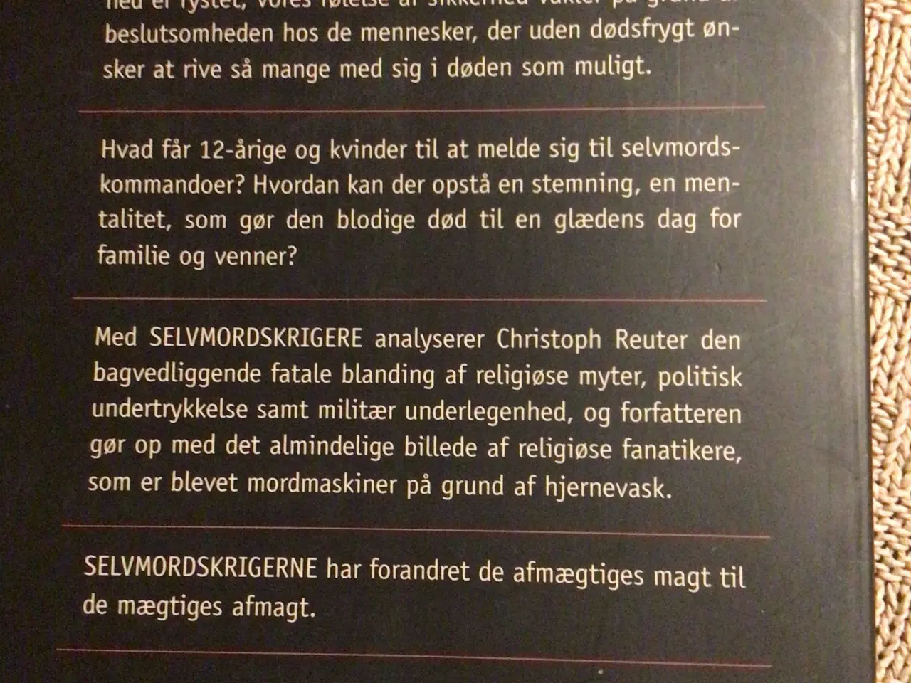 Billede 2 - Selvmordskrigere