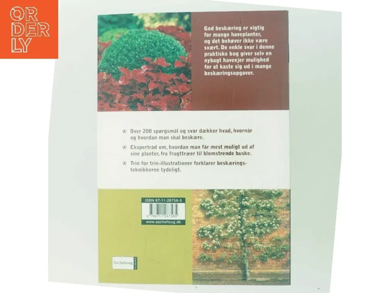 Billede 3 - Beskæring : ekspertsvar på alle spørgsmål af Richard Bird (Bog)