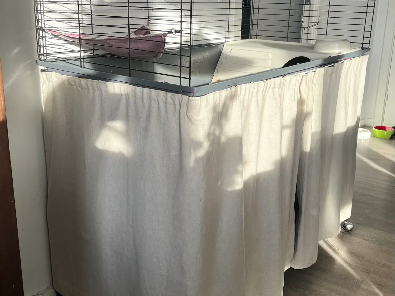 Billede 17 - To hun maresvin sælges med bur og alt tilbehør 