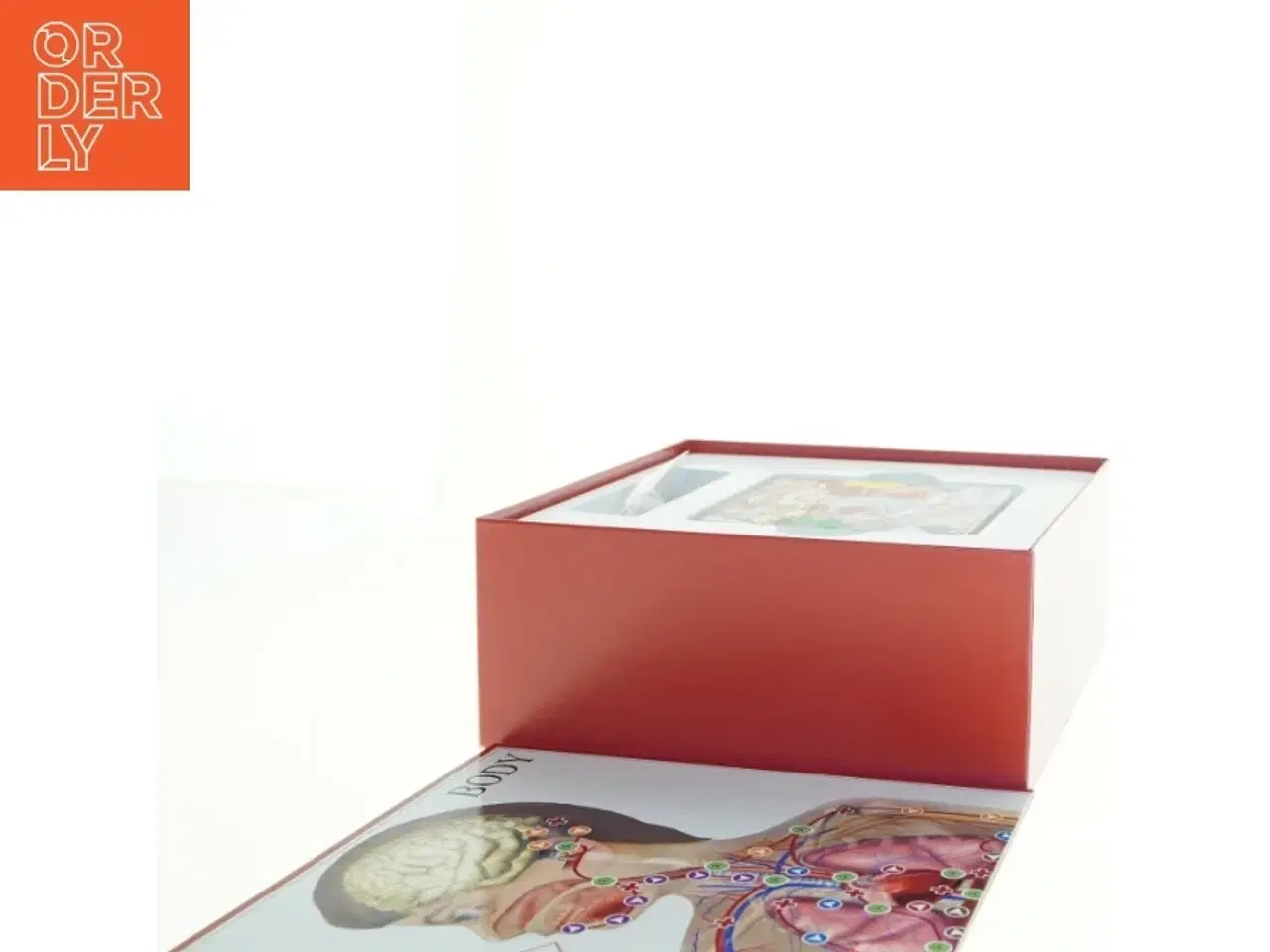 Billede 2 - BodyIQ Junior - brætspil (str. 26 x, 26 x 11 cm)