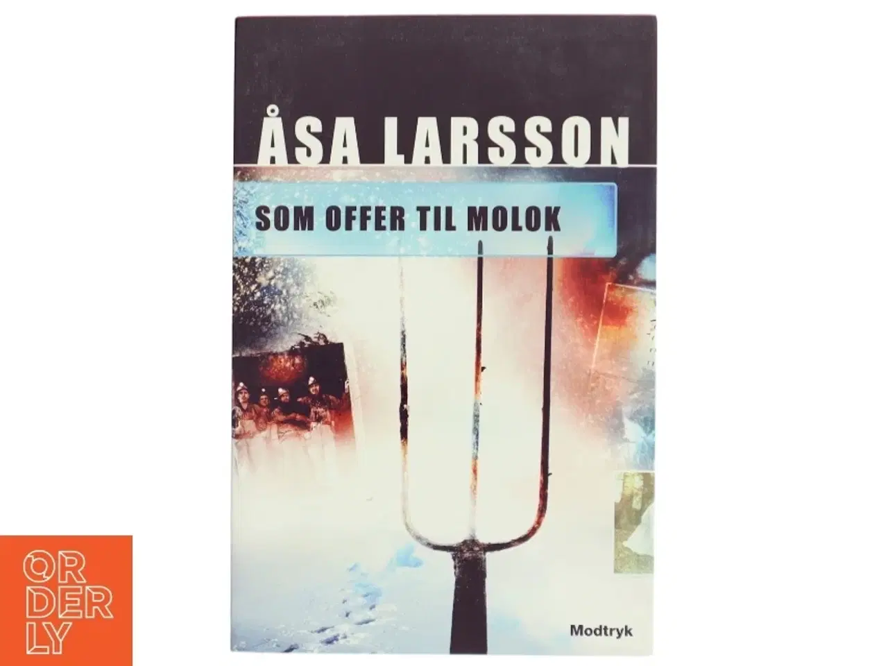 Billede 1 - 'Som offer til Molok' af Åsa Larsson (bog)