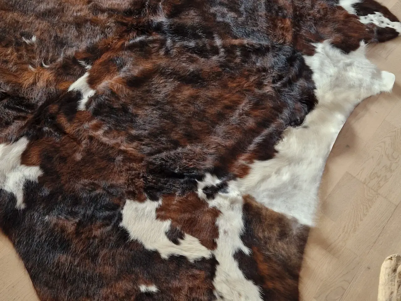 Billede 2 - Stort koskind sælges