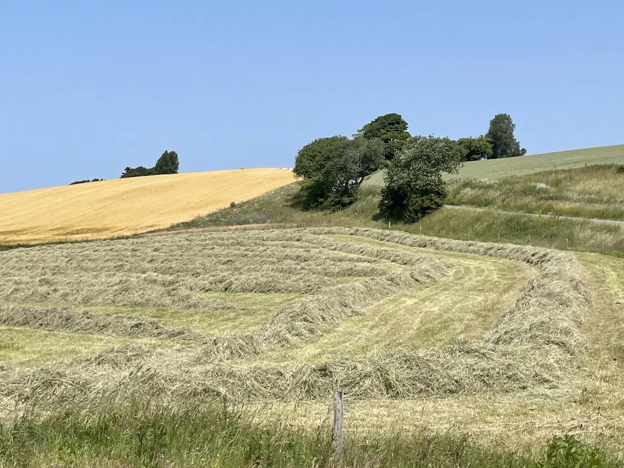 Billede 5 - Wraphø, tørt hø og vårbyghalm