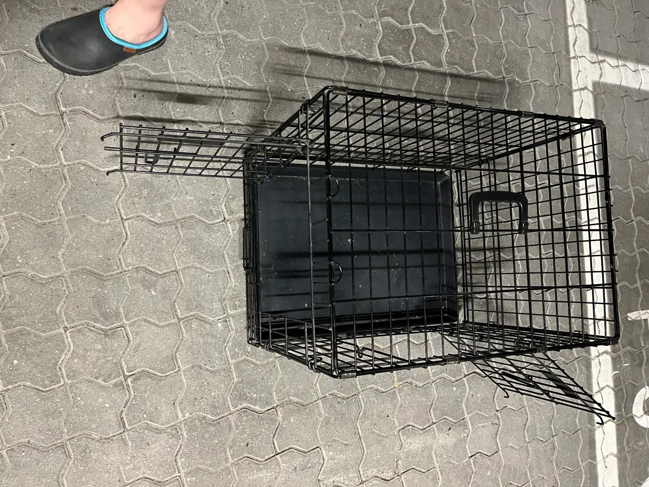 Billede 4 - Afhentes: Transportbur med to låger 43x54x60