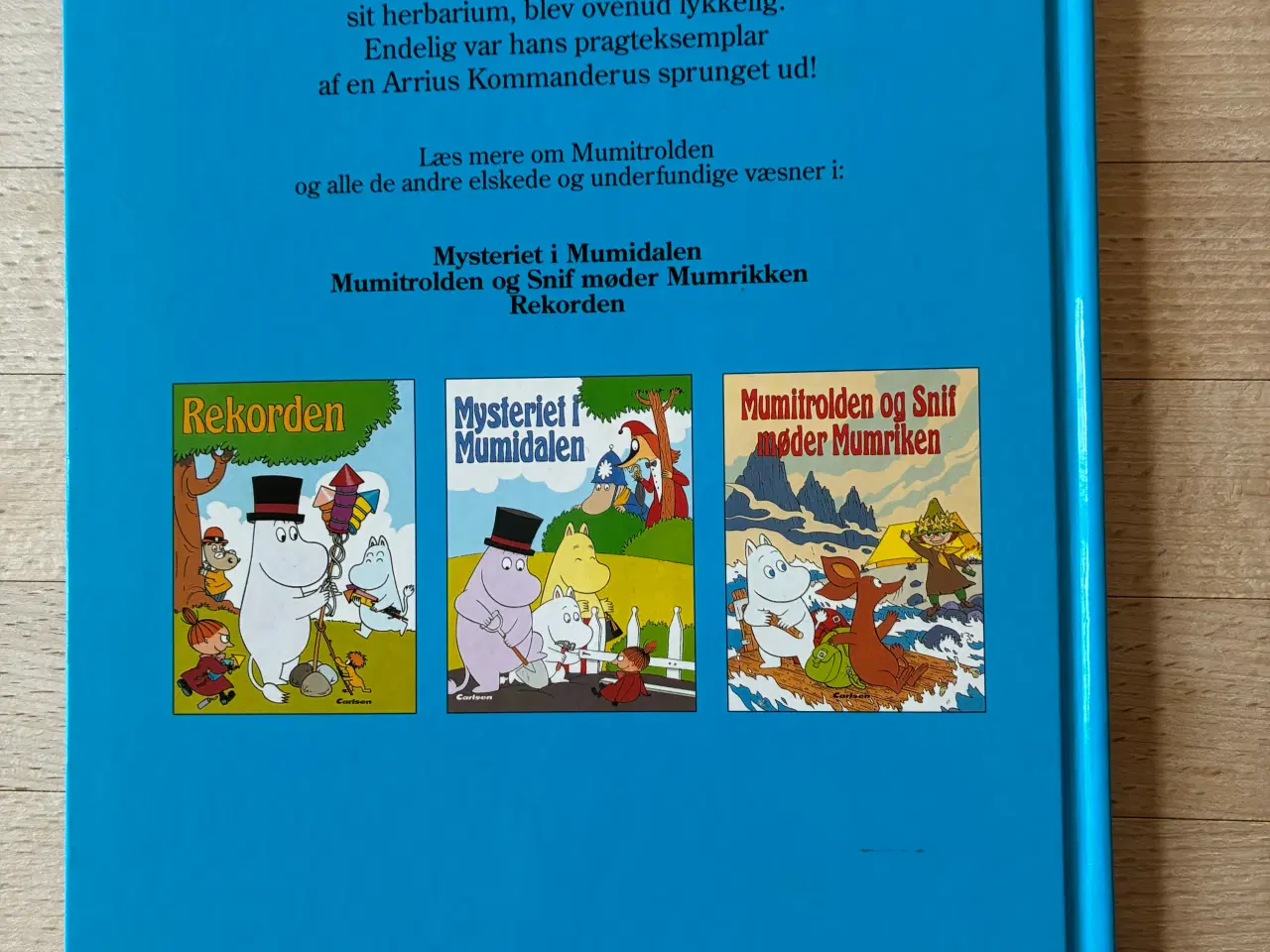 Billede 2 - Den sure blomst, Tove Jansson