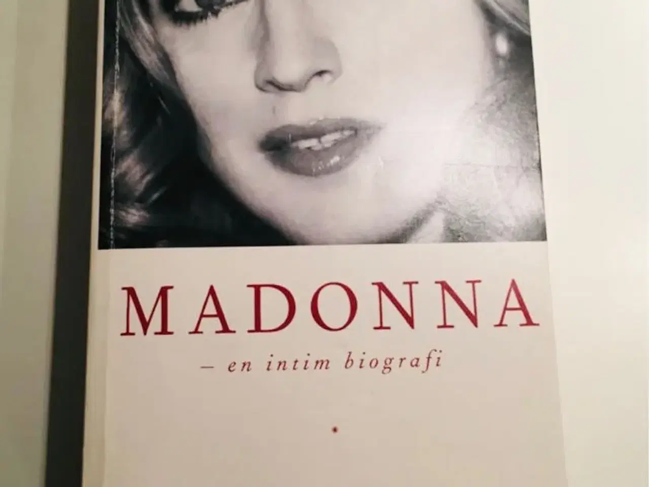 Billede 1 - Madonna bog: en intim biografi